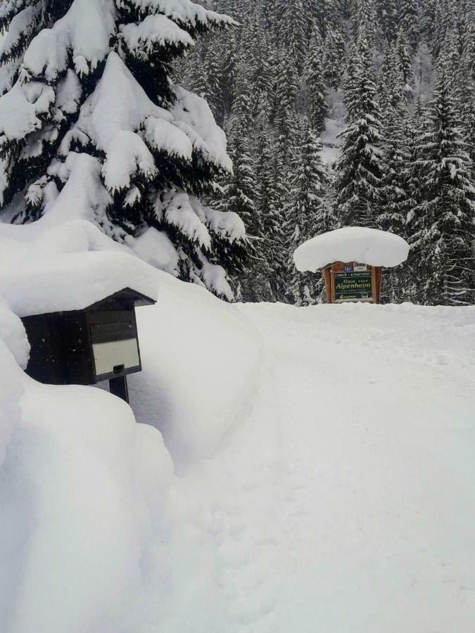 Haus Alpenheim *