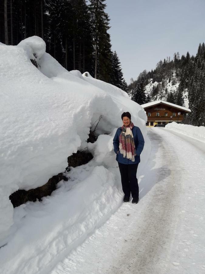 Haus Alpenheim Gasthof Flachau